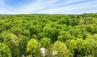 10773 TERRACE St, Alden, MI 49612