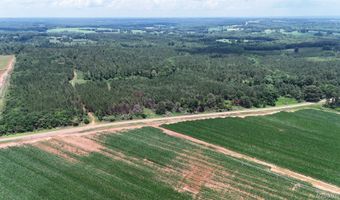 154 County Road 38 Acres, Banks, AL 36005