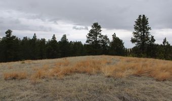 Tract 1 Lone Elk Ranch, Alva, WY 82711