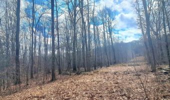 Glade Run Road, Albright, WV 26519