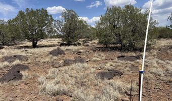 11 Cxx W Old Rte 66, Ash Fork, AZ 86320