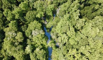Danford Road, Ashford, AL 36312