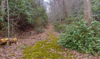 1107 Panther Crk, Almond, NC 28771