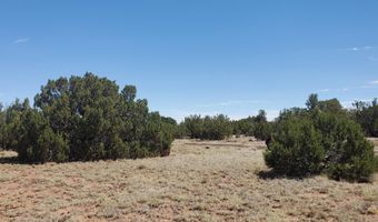 17 County Road 8077, Concho, AZ 85924