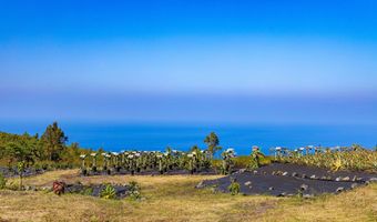 89-830 POHULAI Rd, Captain Cook, HI 96704