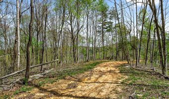 61 AC Hidden Cove Ln, Allons, TN 38541