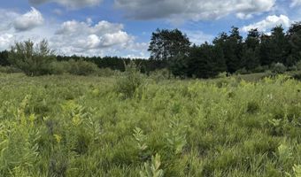 V/L13.25AC Co Rd 612 & Ann Arbor Rd, Lewiston, MI 49756