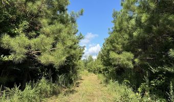 SW Auburn Drive, Bogue Chitto, MS 39629
