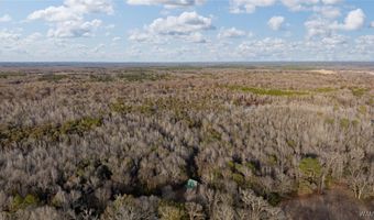 Brush Creek Dr, Akron, AL 35441