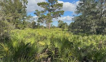 0 ALTURAS BABSON PARK CUT OFF Rd, Bartow, FL 33830