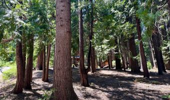 2913 Zuni Dr, Arnold, CA 95223
