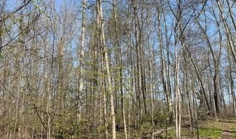 27 Mile Rd, Albion, MI 49224