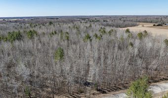 6671 MILLER Rd, Abrams, WI 54101