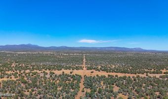 Stagecoach Dr 47 Acres, Ash Fork, AZ 86320