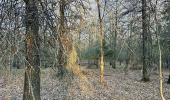 0002 CR-290, Asbury, MO 64832