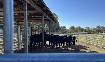 000 County Road 113, Alton, MO 65606