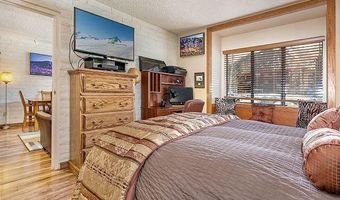 313 VINE St 313, Aspen, CO 81611