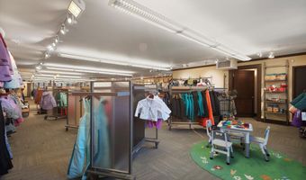 408 E Cooper Ave, Aspen, CO 81611