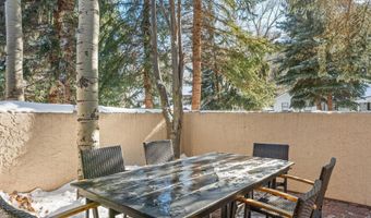 326 W Hopkins Ave, Aspen, CO 81611