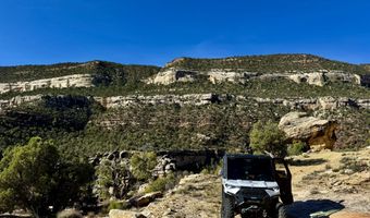 TBD X4 Road, Bedrock, CO 81411