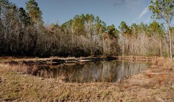 321 Mae Ln, Baxley, GA 31513