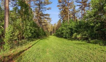 425 Rose Hill Rd, Bentonia, MS 39040