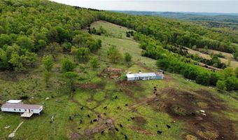1085 County Road 723, Berryville, AR 72616