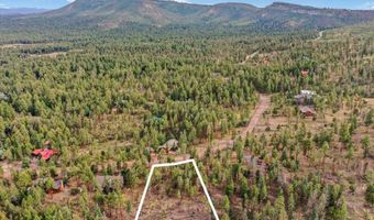 14 County Rd 2074, Alpine, AZ 85920