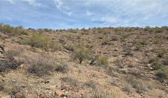 10 Acres 121-02-020, Yucca, AZ 86438