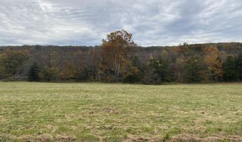 000 Tbd County Rd T-541, Ava, MO 65608