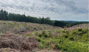 Northrup Creek Rd, Birkenfeld, OR 97016
