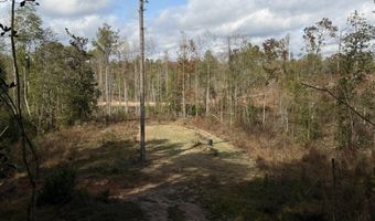 0 Progress Road Rd, Beaumont, MS 39423