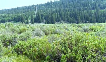 140 Kootchie Kootchie Rd Lot 30, Alma, CO 80440
