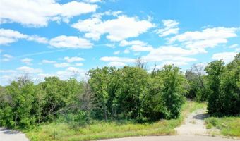 120 Bear Cat Ct, Alvord, TX 76225