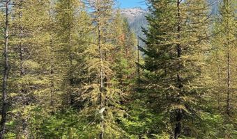 Tract 6 USFS 2294, Clark Fork, ID 83811