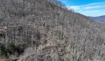 99999 Green Ridge Falls Rd 17, Barnardsville, NC 28709