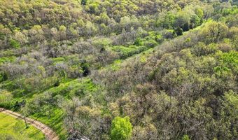 TBD Stogdon Hollow RD, Anderson, MO 64831