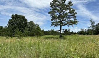 676 County Road 403, Alton, MO 65606