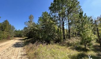 0 John S Horton, Adrian, GA 31002