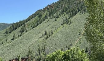 4959 Frying Pan Rd, Basalt, CO 81621