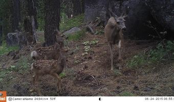 L16 B1 Lantern Way lot 16, Cascade, ID 83611