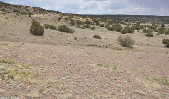 88 B County Road 5035, Concho, AZ 85924