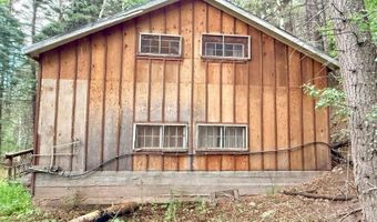 22954 Mt. Elbert Dr, Aguilar, CO 81020