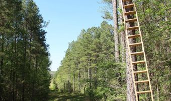4820 COUNTY ROAD 22, Ashville, AL 35953