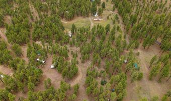 County Rd 2121, Alpine, AZ 85920