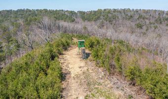 163 Acres Duck Springs Rd, Attalla, AL 35954