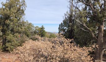 S2 Lot 92 Off Indian Springs, Ash Fork, AZ 86320