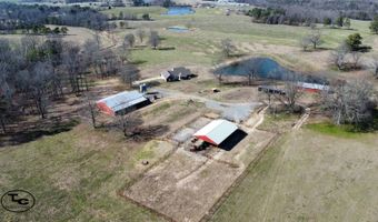 2665 Mt. Carmel Rd, Altoona, AL 35952