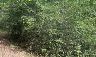 0 McDowell Rd, Bay Minette, AL 36507