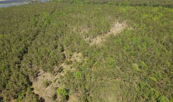 Colice Hall Lane, Ahoskie, NC 27910